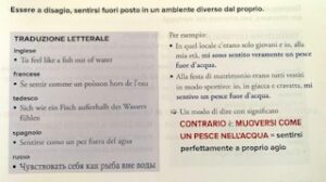 Modi di dire 